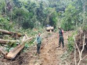 Dandim 0422 Lampung Barat Hentikan Penebangan di Sahbardong Meski Klaim di Luar Kawasan Hutan