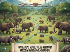 Presiden Siapkan Solusi Permanen Atasi Konflik Gajah Way Kambas