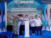 Hilirisasi Ayam Terintegrasi Dimulai, Lampung Targetkan Nilai Tambah Peternakan