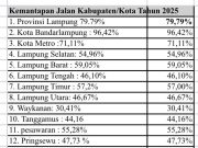 Ketimpangan Jalan di Lampung: Dari Data ke Krisis Nyata”