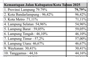 Ketimpangan Jalan di Lampung: Dari Data ke Krisis Nyata”