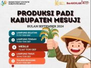 Padi Mesuji Untuk Siapa