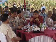 *Wakil Ketua DPRD 1 Lampung Selatan, Merik Havit Hadiri Panen Raya Jagung Serentak Kuwartal ll Polres Lampung Selatan*