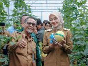 Wagub Jihan Panen Raya Melon di SPP Natar, Siapkan Generasi Tani Berbasis Teknologi